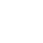 Vector